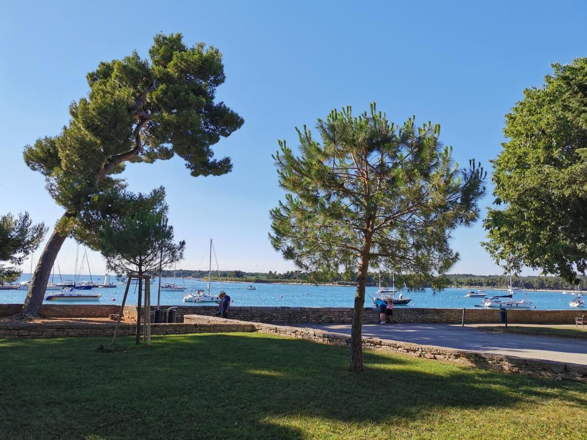 Ivan B&B, 5 Star Superior Room, Near The See And Park Novigrad Istria Extérieur photo