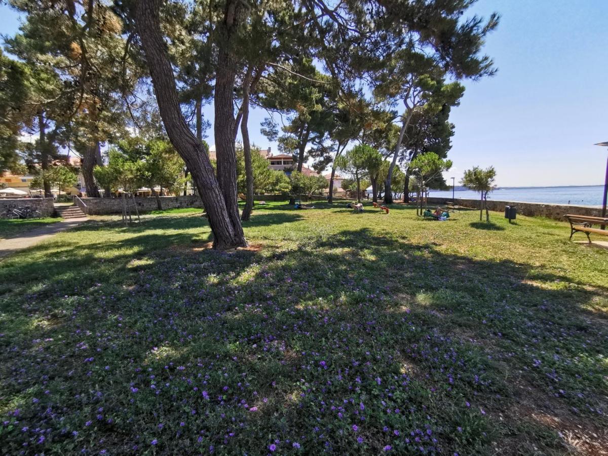 Ivan B&B, 5 Star Superior Room, Near The See And Park Novigrad Istria Extérieur photo