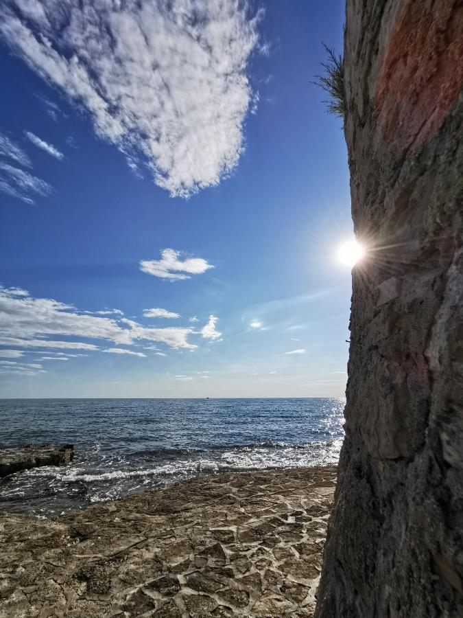 Ivan B&B, 5 Star Superior Room, Near The See And Park Novigrad Istria Extérieur photo